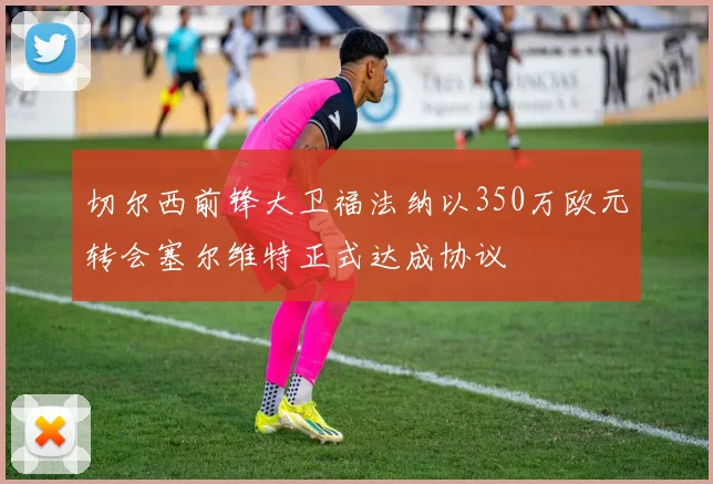 切尔西前锋大卫福法纳以350万欧元转会塞尔维特正式达成协议